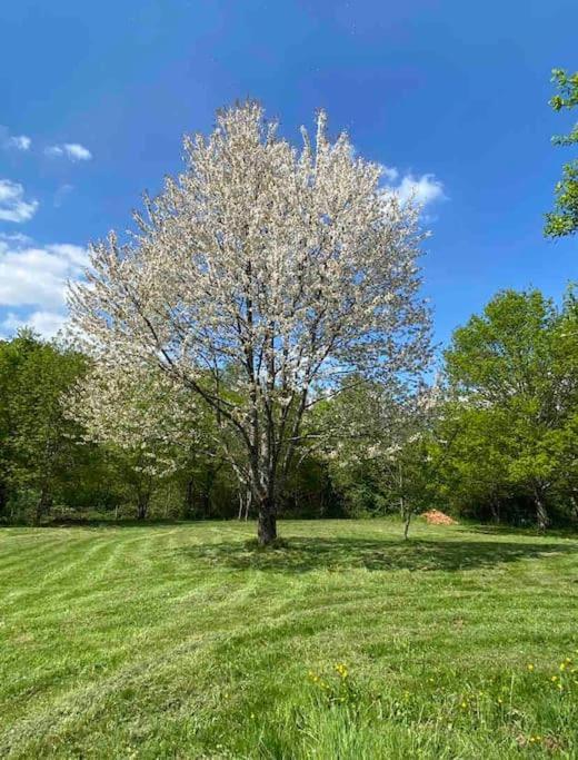 Spacious 1 Bed Home With Shared Pool Champagnac-la-Rivière Esterno foto